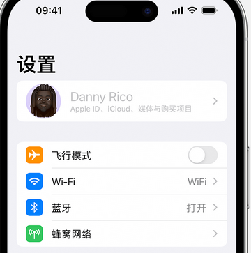 肥乡appleID维修服务iPhone设置中Apple ID显示为灰色无法使用