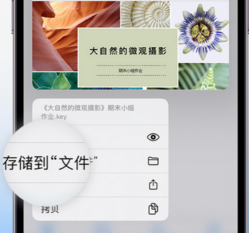 肥乡apple维修中心分享iPhone文件应用中存储和找到下载文件