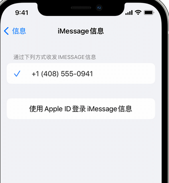 肥乡apple维修iPhone上无法正常发送iMessage信息 