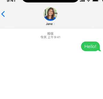 肥乡apple维修iPhone上无法正常发送iMessage信息