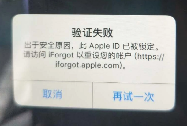 肥乡iPhone维修分享iPhone上正常登录或使用AppleID怎么办 