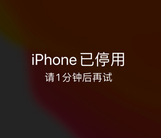 肥乡苹果手机维修分享:iPhone 显示“不可用”或“已停用”怎么办？还能保留数据吗？ 