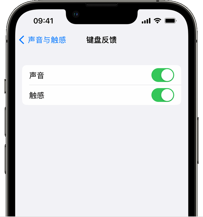 肥乡苹果14维修店分享如何在 iPhone 14 机型中使用触感键盘 