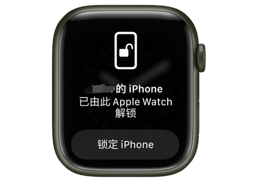 肥乡苹果手机维修分享用 AppleWatch 解锁配备面容 ID 的 iPhone方法 