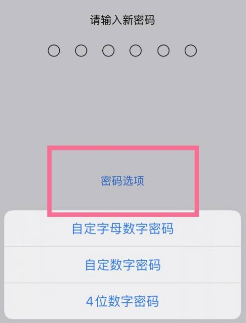 肥乡苹果14维修分享iPhone 14plus设置密码的方法 