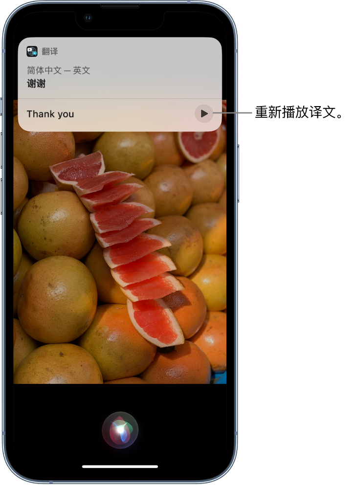 肥乡苹果14维修分享 iPhone 14 机型中使用 Siri：了解 Siri 能帮你做什么 