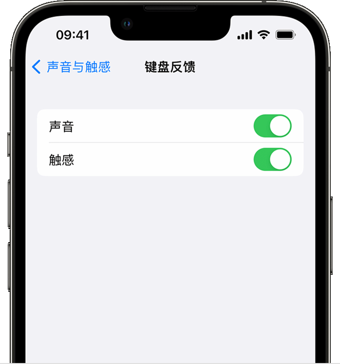 肥乡苹果14维修分享iPhone 14 系列机型如何开启键盘声音或触感反馈 