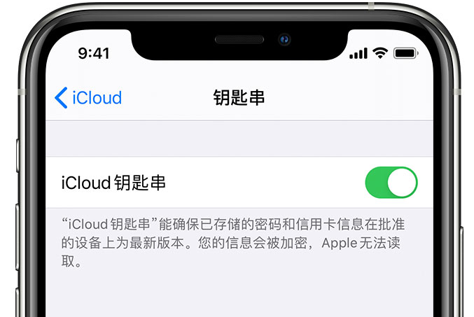 肥乡苹果手机维修分享在 iPhone 上开启 iCloud 钥匙串之后会储存哪些信息 