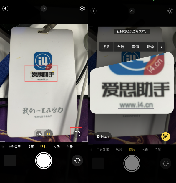 肥乡苹果手机维修分享升级iOS 16后如何通过相机翻译文本 