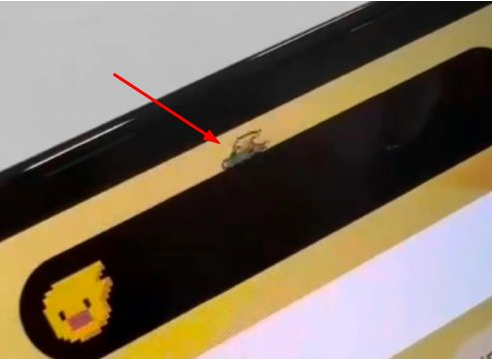 肥乡苹果14维修分享iPhone 14 Pro Max灵动岛怎么养宠物 
