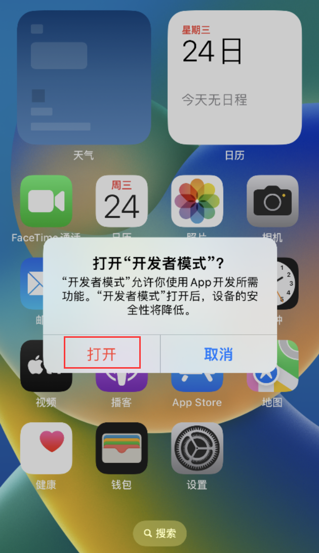 肥乡苹果手机维修分享如何打开开发者模式 