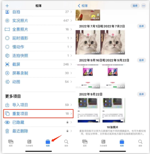 肥乡苹果手机维修分享iOS 16 中相册重复项目功能使用方法 
