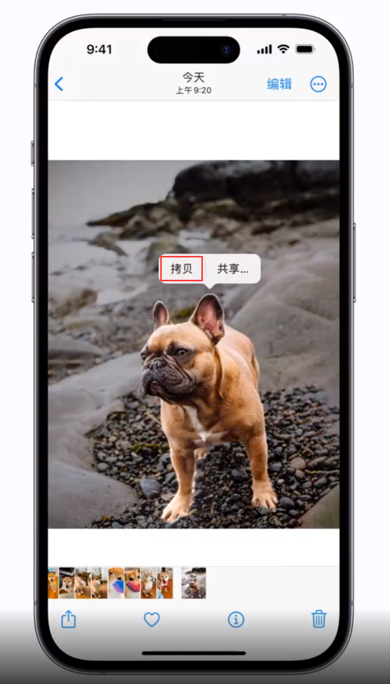 肥乡苹果手机维修分享 iOS 16 自带一键抠图功能 