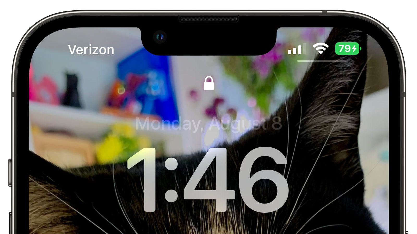 肥乡苹果手机维修分享iOS 16 beta 5 支持状态栏显示电池百分比，如何开启？支持哪些机型 