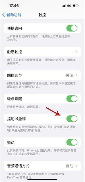 肥乡苹果手机维修分享iPhone手机如何设置摇一摇删除文字 