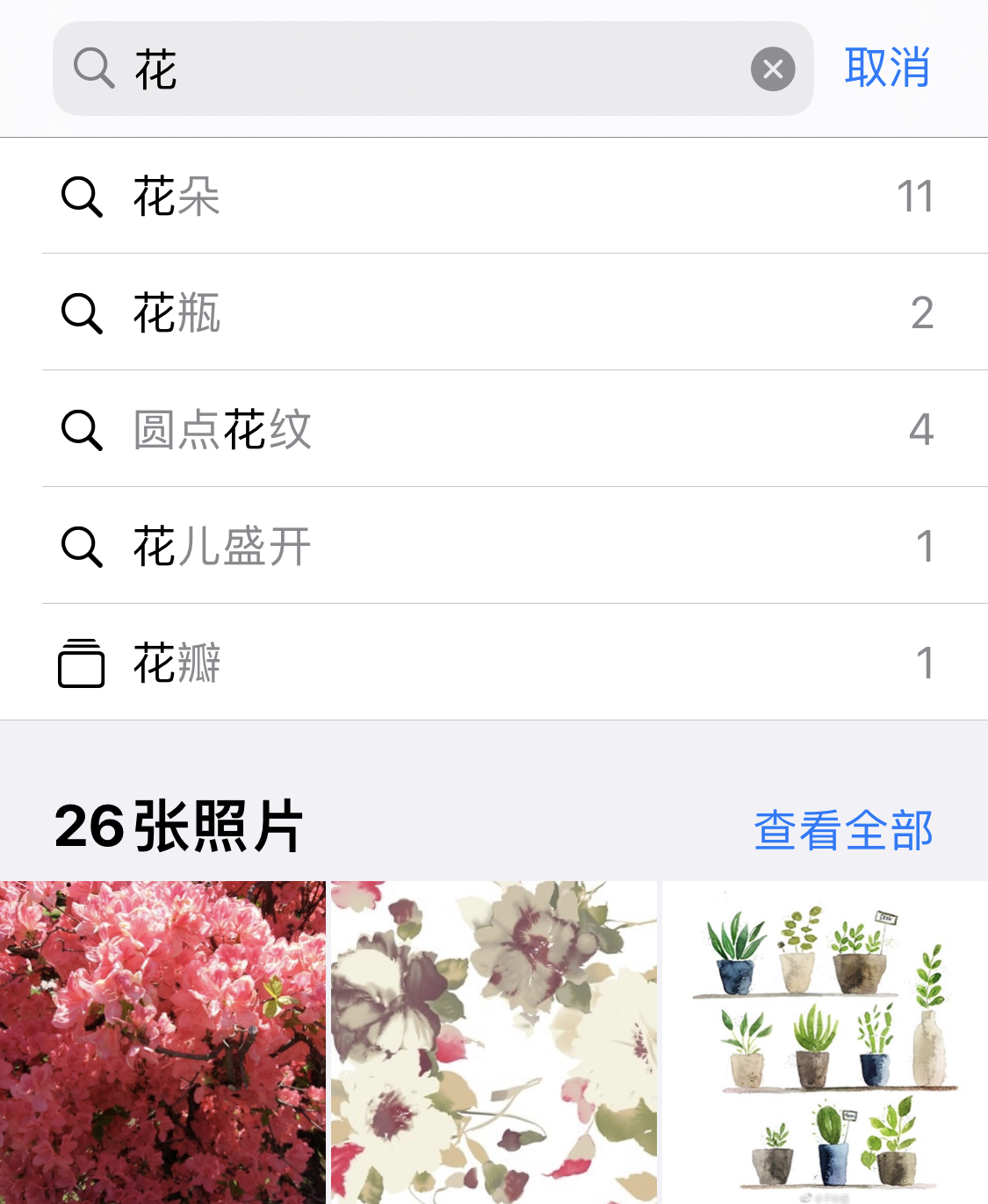 肥乡苹果手机维修分享iPhone 小技巧 