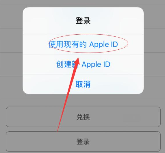 肥乡苹果手机维修分享两台iPhone设备可以同时登录一个Apple ID吗 