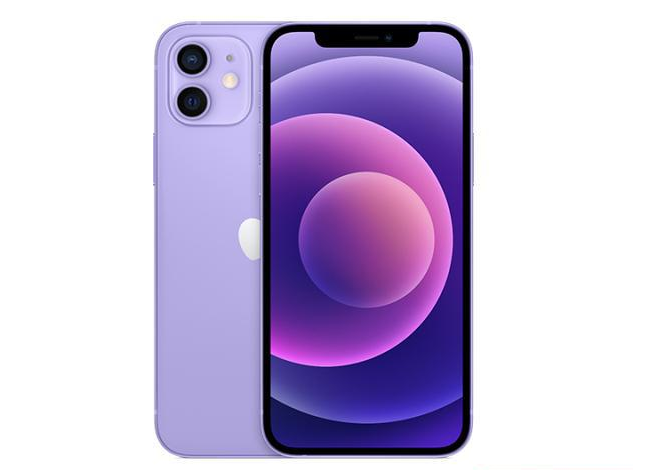 肥乡苹果手机维修分享现阶段要不要入手紫色版iPhone12 