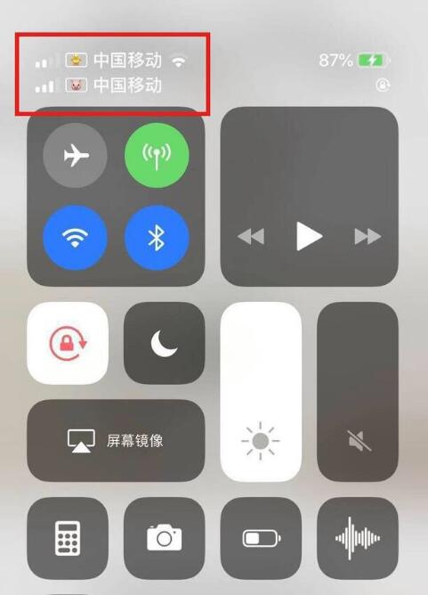 肥乡苹果手机维修分享为 iPhone 12 双卡设置标签 