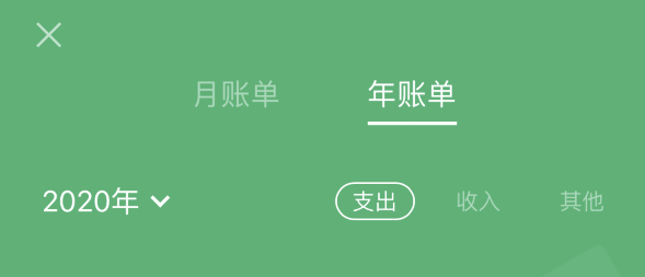 肥乡苹果手机维修分享如何在 iPhone 上查看支付宝和微信年支出账单 